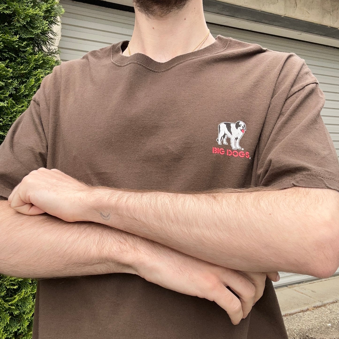 Vintage Brown Big Dogs Graphic Tee - XL