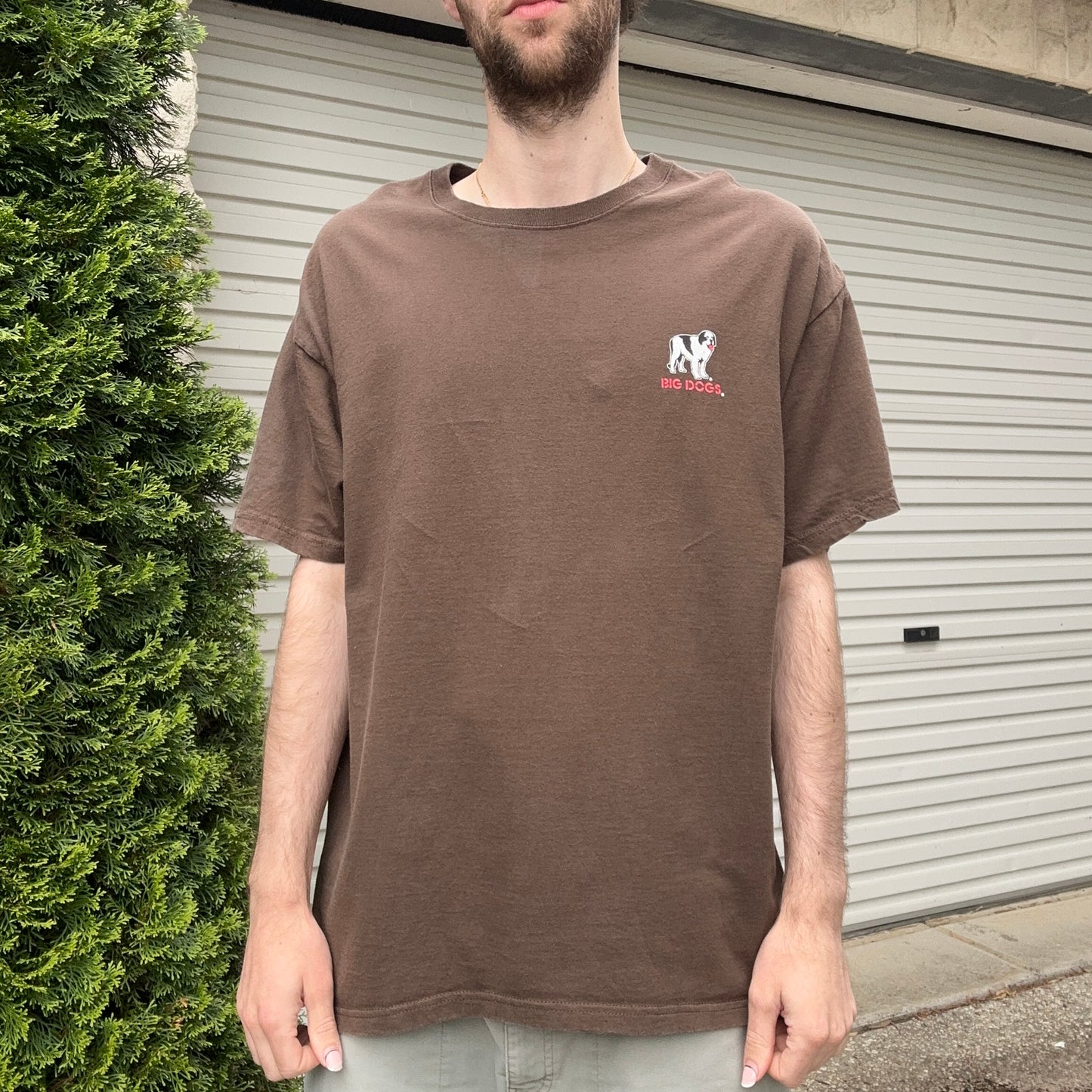Vintage Brown Big Dogs Graphic Tee - XL
