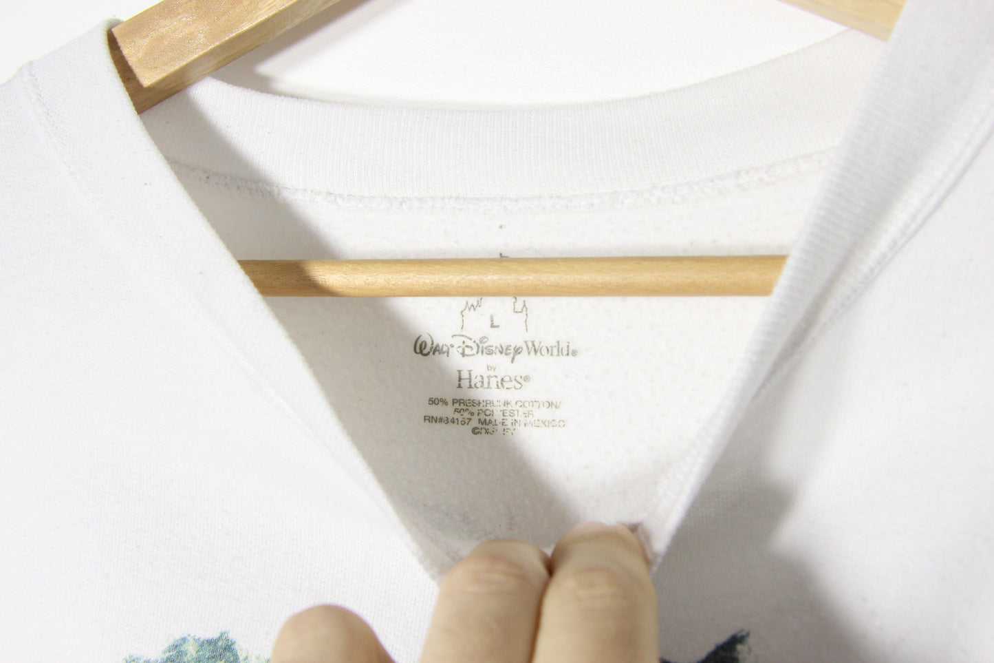 2000's Disney Animal Kingdom Sweatshirt - L