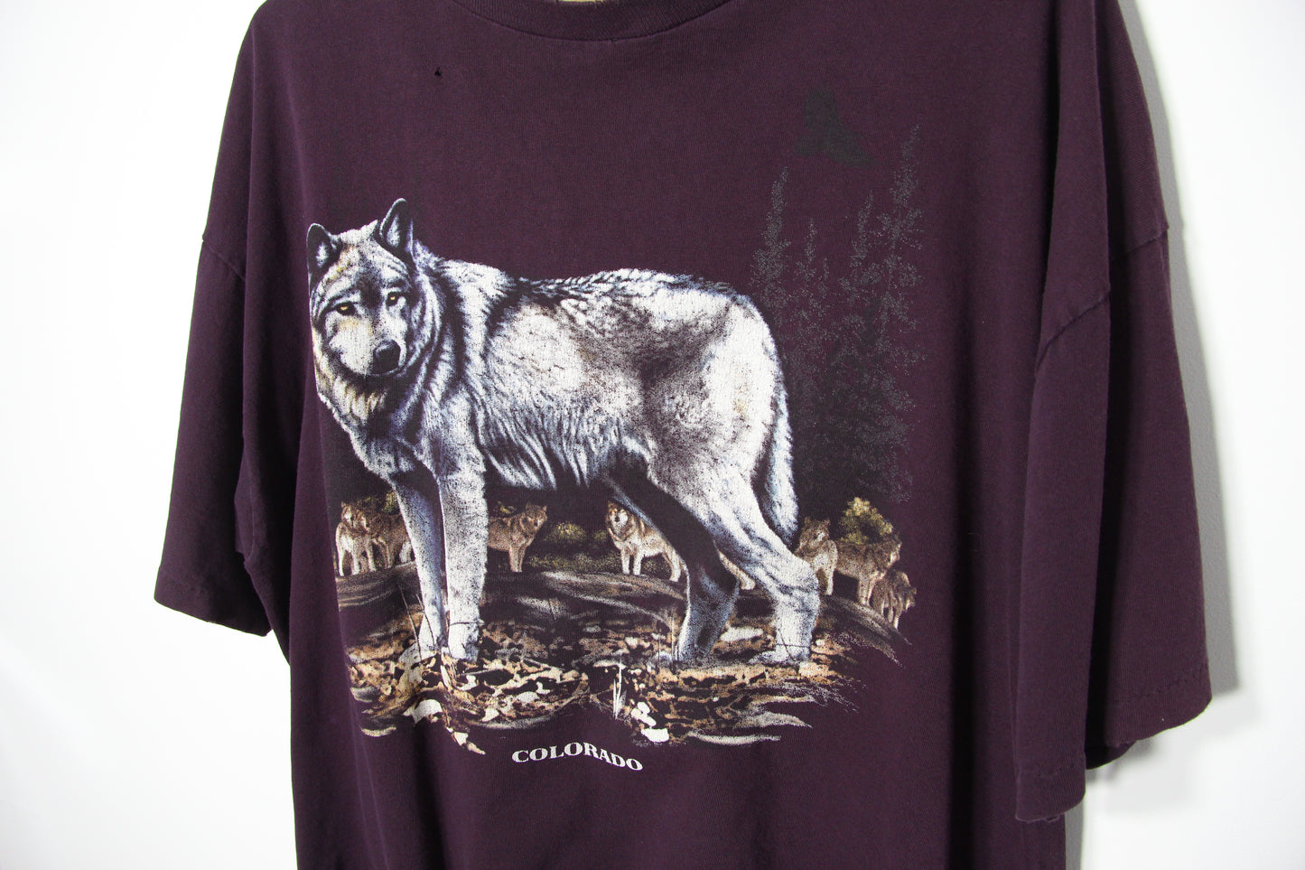 1990's Colorado USA Nature Tee - XL