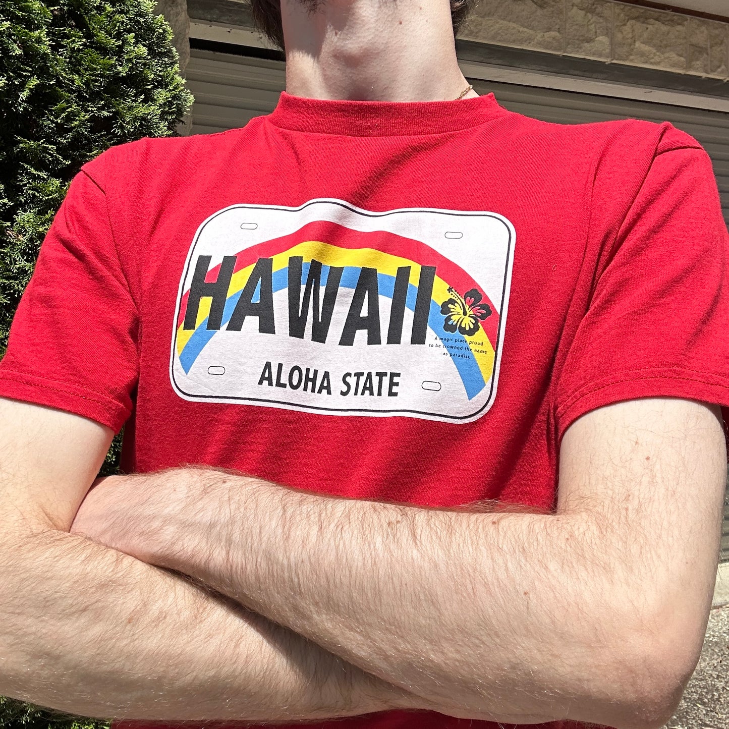 Vintage Hawaii Graphic Tee - S